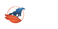 logo rcb988